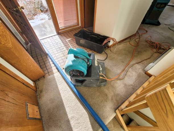 Best Water damage contractors near me  in USA